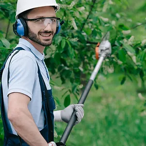 10 Telltale Signs It's Time for Tree Pruning