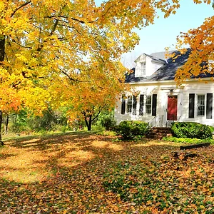 4 Fall Tree Care Gui﻿delines You Should Know-300