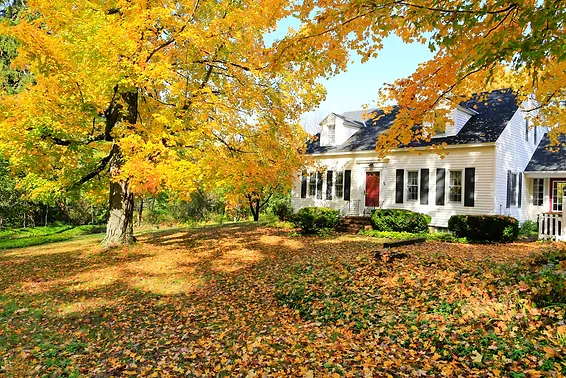 4 Fall Tree Care Gui﻿delines You Should Know utah