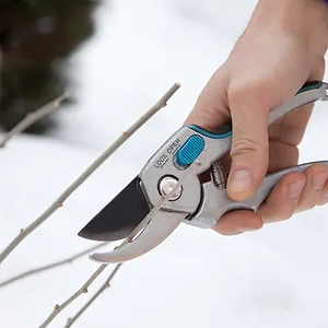 5 Reasons to Schedule Winter Pruning-300