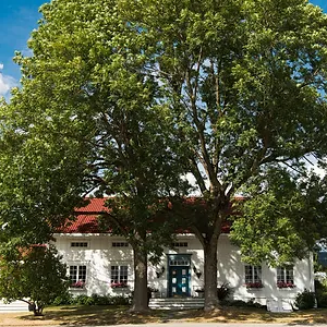 How Professional Tree Trimming Protects Your Rooftop