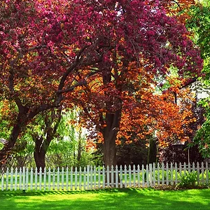 Planting a Tree-300