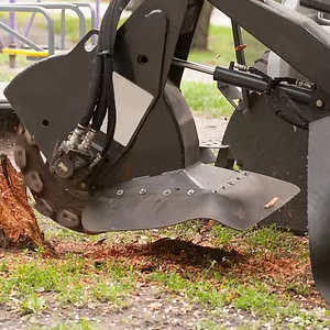 Why You Need a Professional for Stump Removal-300